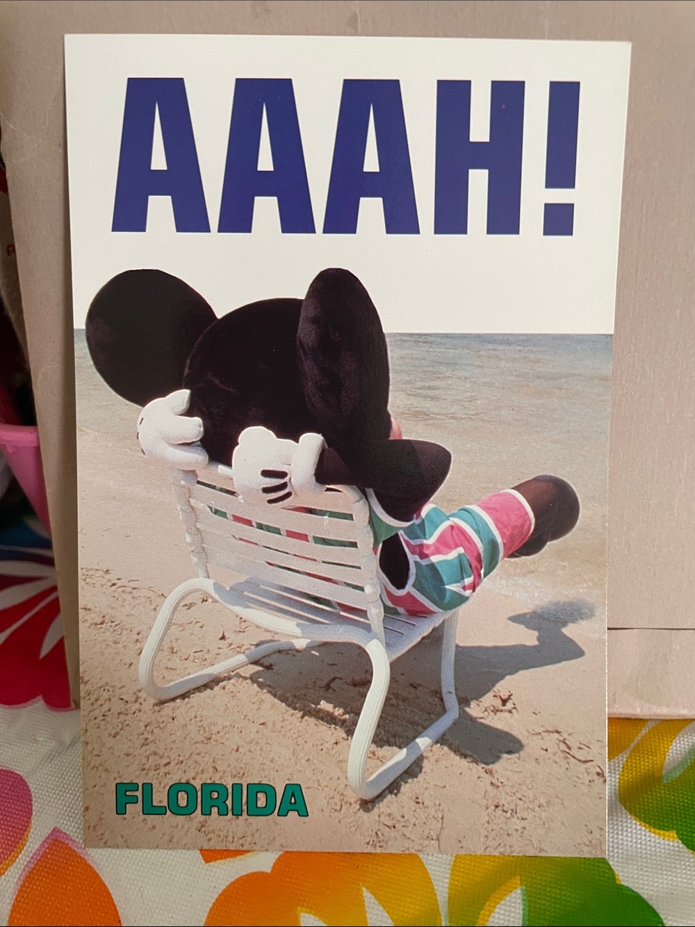 Disney Mickey Mouse Florida Post card - Blue, Black, White
